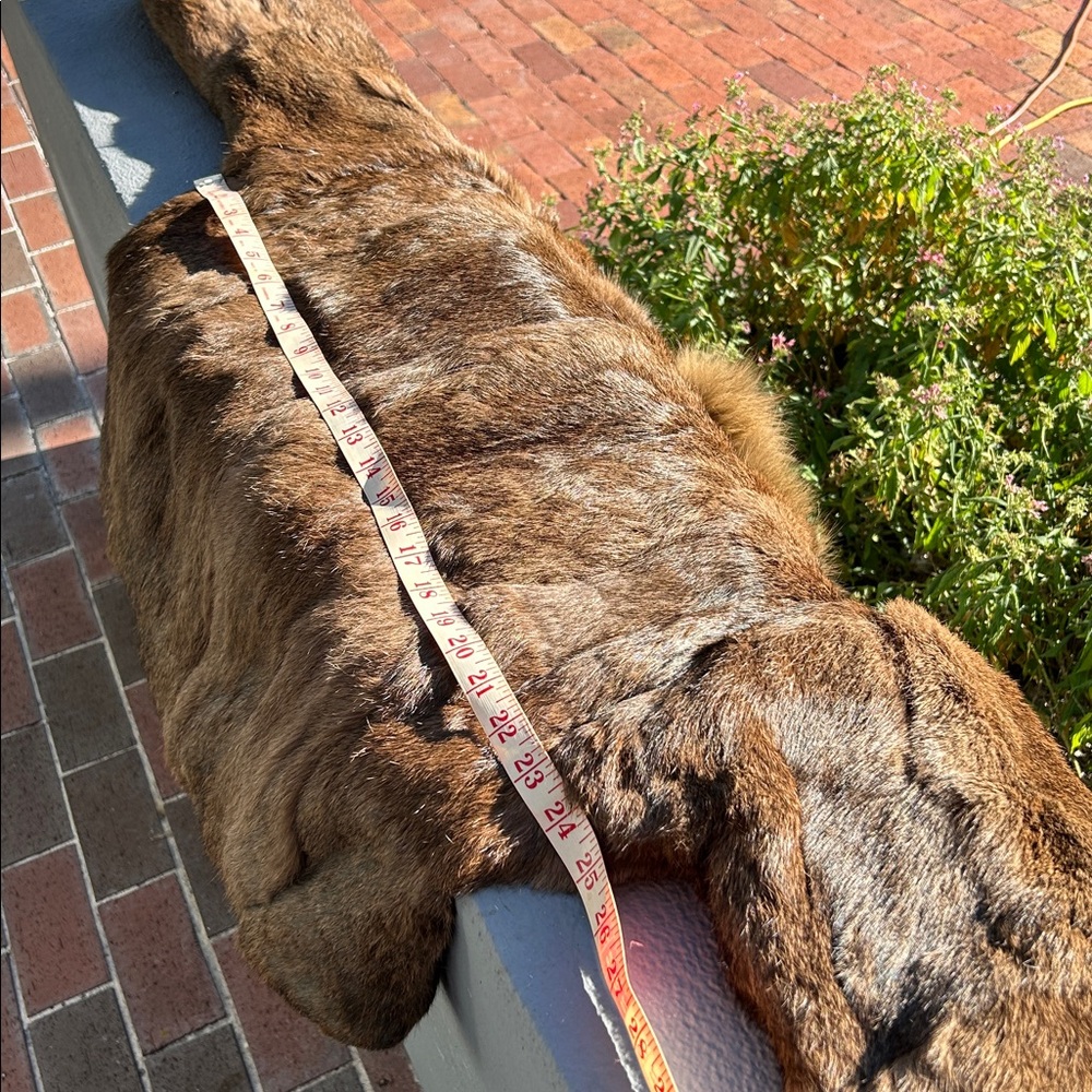Vintage Brown real Fur Jacket - Picture 2 of 9